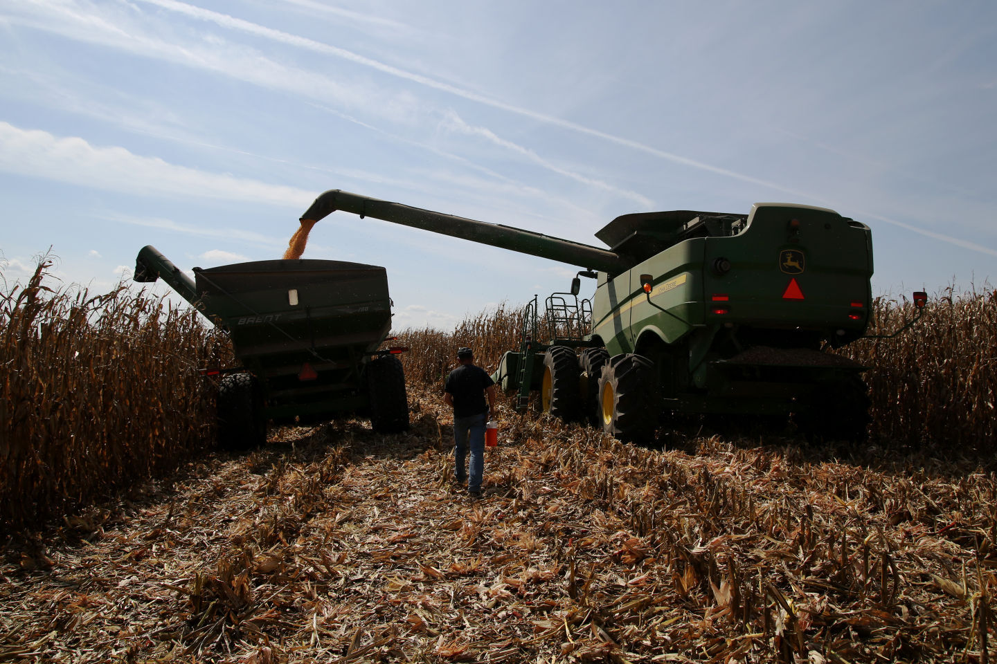 Harvest time
